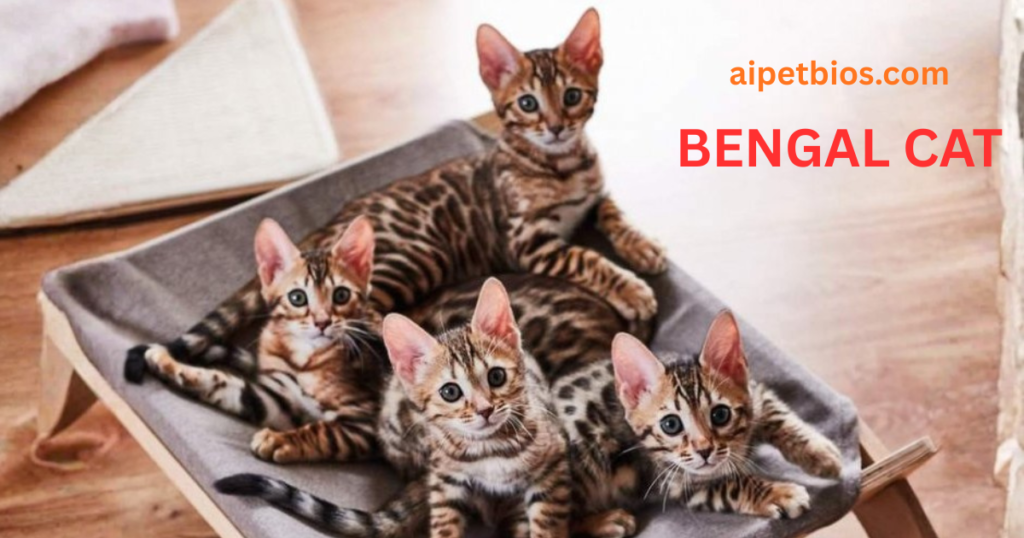 A full-body action shot of a golden-brown Bengal cat with distinct black rosettes and a striped tail, shown leaping or standing on its hind legs against a solid, bright green background. The cat is looking upward and to the right, showcasing its athletic build and vivid coat patterns in clear, bright lighting.