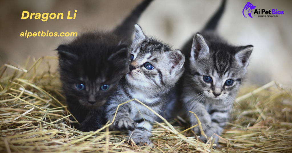 Three small kittens with blue eyes—one dark grey and two silver tabbies—huddle together in a bed of dry hay. The image features the text "Dragon Li", the URL "aipetbios.com", and the purple "Ai Pet Bios" logo in the top right corner.