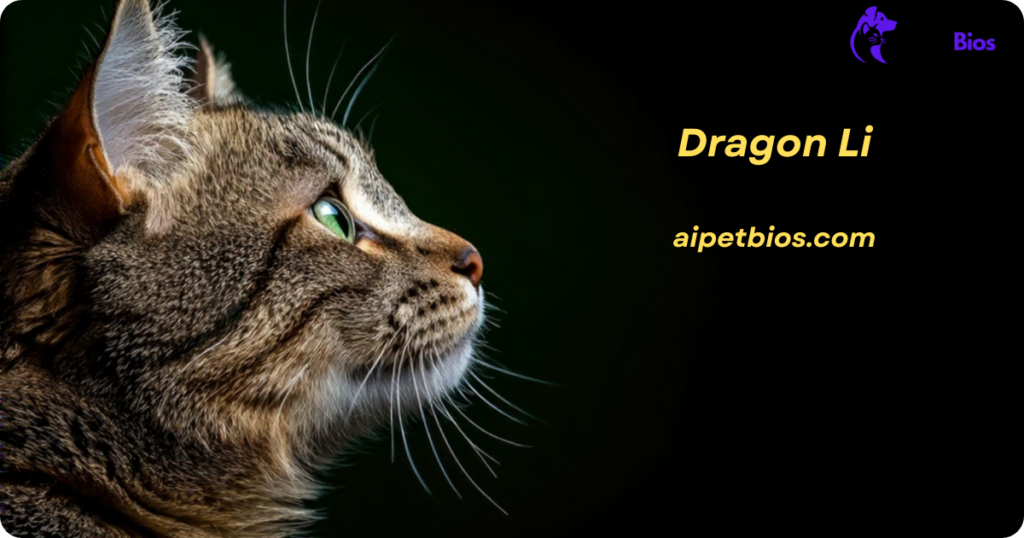 A profile shot of a Dragon Li cat with green eyes and brown tabby fur, featuring the text "Dragon Li" and "aipetbios.com".