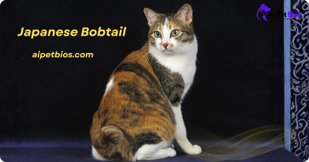 A calico Japanese Bobtail cat sitting against a dark background, showing its unique bobbed tail. Text: "Japanese Bobtail" and "aipetbios.com".