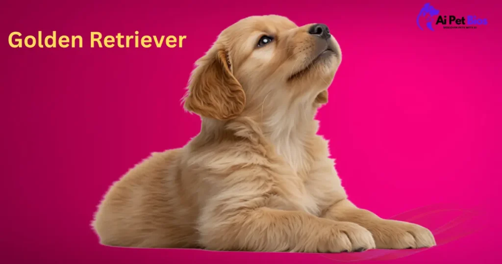 A fluffy Golden Retriever puppy lies down and looks upward against a vibrant magenta background. The text "Golden Retriever" is in yellow on the top left, and the "Ai Pet Bios" logo is in the top right.